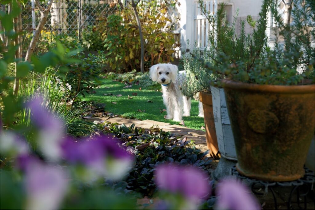 découvrez nos conseils et astuces pour embellir votre maison et votre jardin. idées déco, bricolage, jardinage et bien plus pour un intérieur et un extérieur pleins de charme.