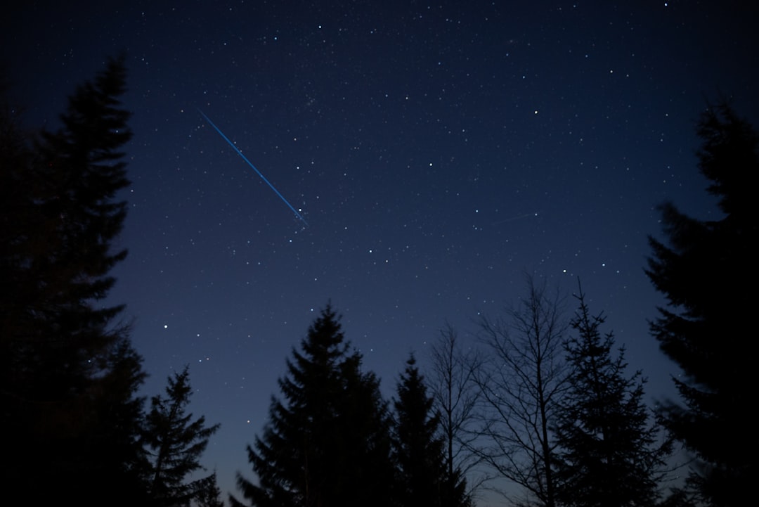 starlink est un réseau satellitaire innovant offrant un accès internet haut débit et fiable partout dans le monde, même dans les zones les plus reculées.